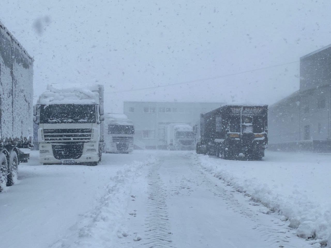 Circulația camioanelor, temporar restricționată la mai multe puncte de frontieră