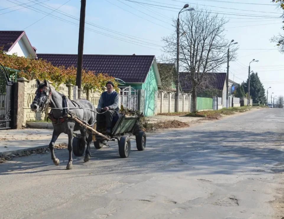 CALM cere retragerea proiectului privind modificarea Metodologiei de amalgamare voluntară