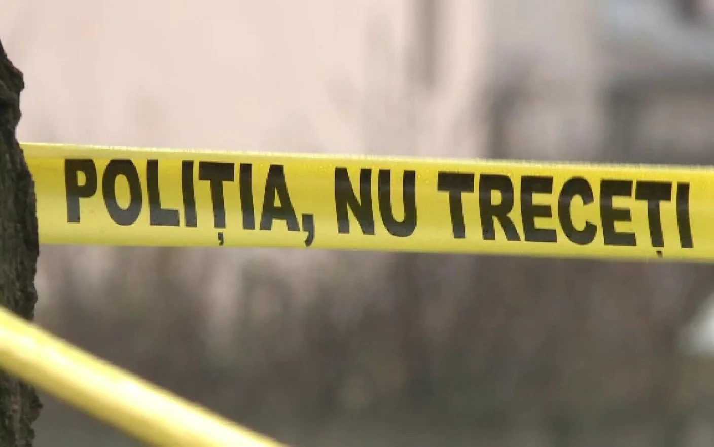 Crimă la Rezina // Două persoane, găsite decedate într-un lan de porumb. Suspectul, plasat în arest preventiv