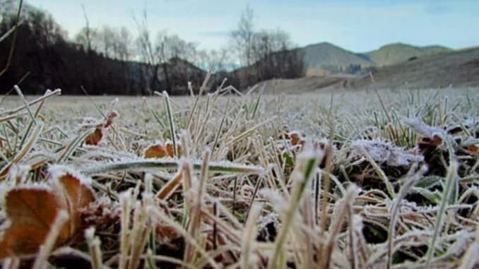 Cod galben de înghețuri. Temperaturile vor coborî până la -2°C